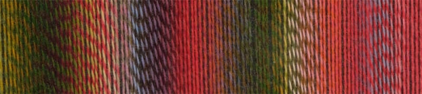 Zauberball Stärke 6 von Schoppel-Wolle Farbe 2516 Abendstunde Farbfeld
