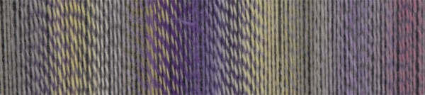 Zauberball Stärke 6 von Schoppel-Wolle Farbe 2514 Geheimrat Farbfeld